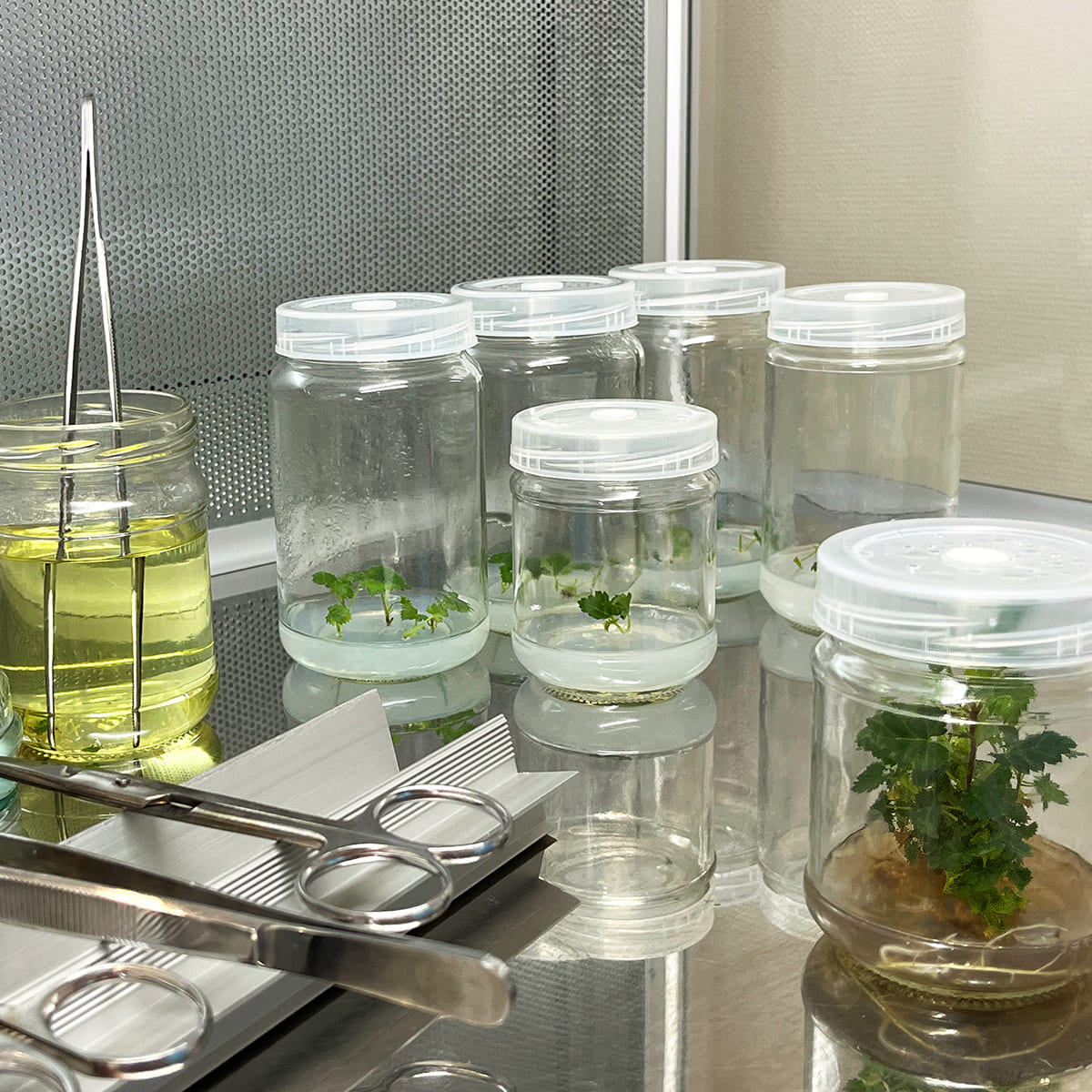 laboratory