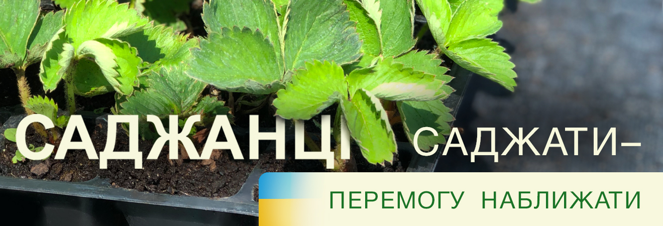 Саджанці саджати - перемогу наближати