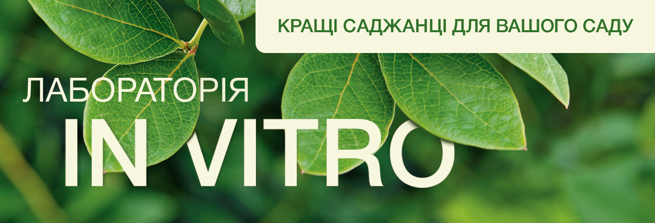 Лабораторія IN VITRO